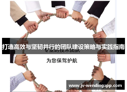 打造高效与坚韧并行的团队建设策略与实践指南