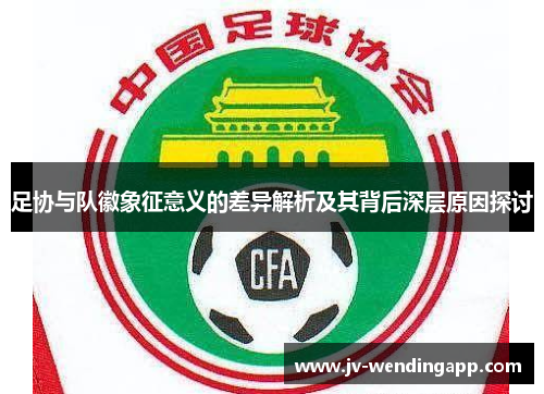 足协与队徽象征意义的差异解析及其背后深层原因探讨