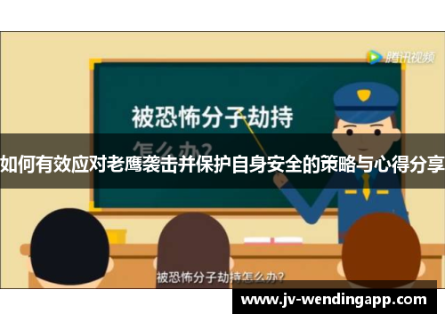 如何有效应对老鹰袭击并保护自身安全的策略与心得分享